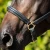 Padded-Leather-Head-Collar-Black-4-588386_1600x.webp
