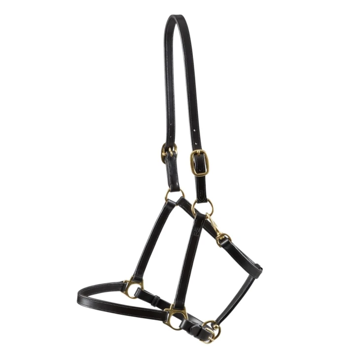 Plain-Leather-Head-Collar-brown4_8f765367-3554-4451-a7d4-a4d762306386_1600x.jpg