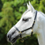 Plain-Leather-Head-Collar-black1_1600x.png
