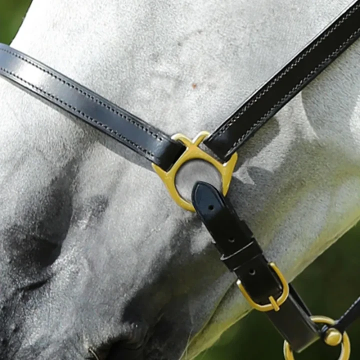 Plain-Leather-Head-Collar-black3_1600x.webp