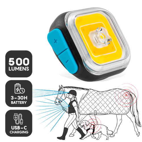 13-Lumens-Light01.png