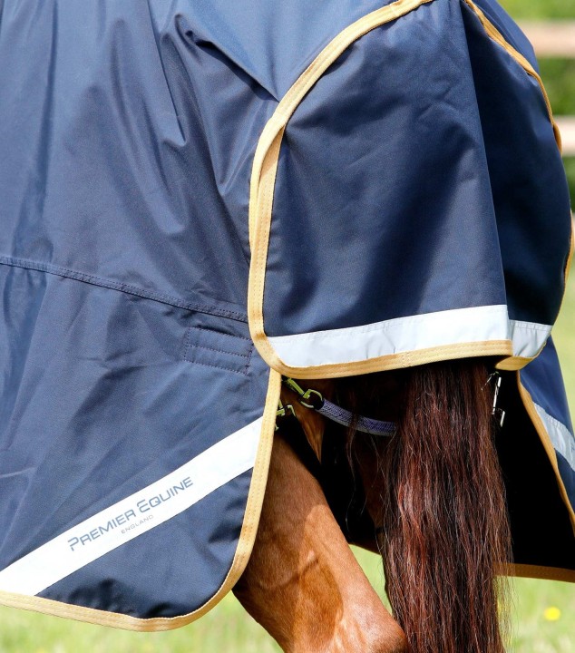buster-50g-original-turnout-rug-212756n-173301_1600x.jpg