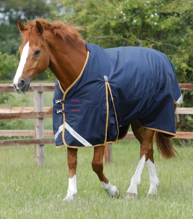 Buster-50-Original-Turnout-Rug-Navy-1_1600x.webp