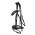 Rizzo-Anatomic-Snaffle-Bridle-with-Flash-Black.jpg